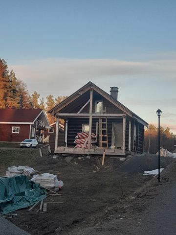 Каркасный дом